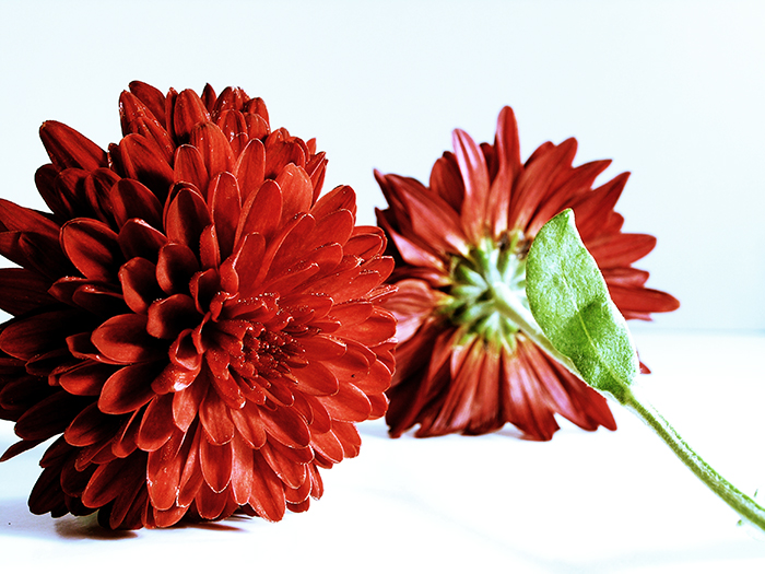 Photography
